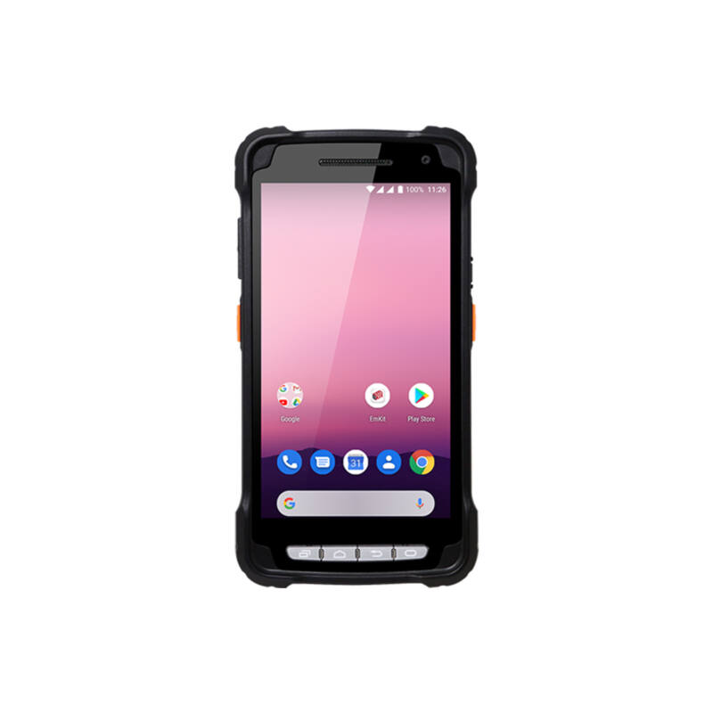 Delfi pm90 vorderseite