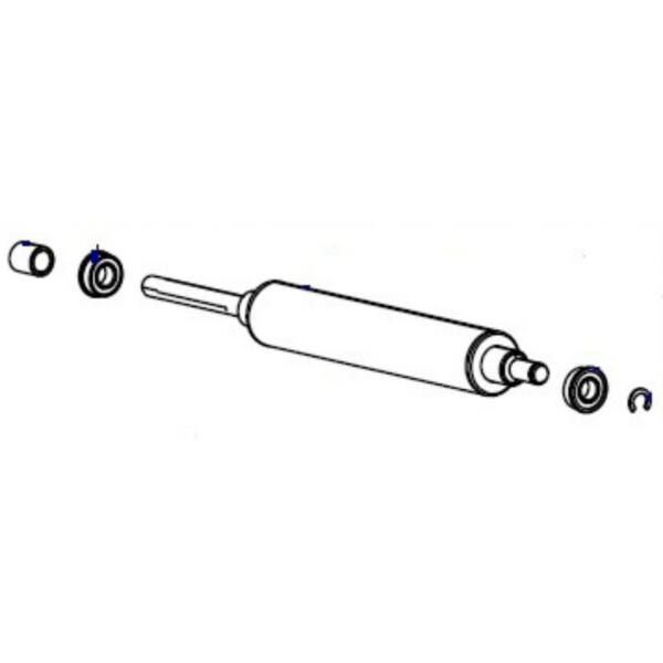 Zebra plattvals - bild 1