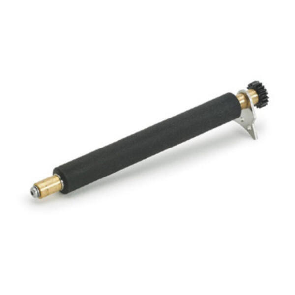 Zebra plattvals - bild 1